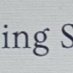 Spurling Scents